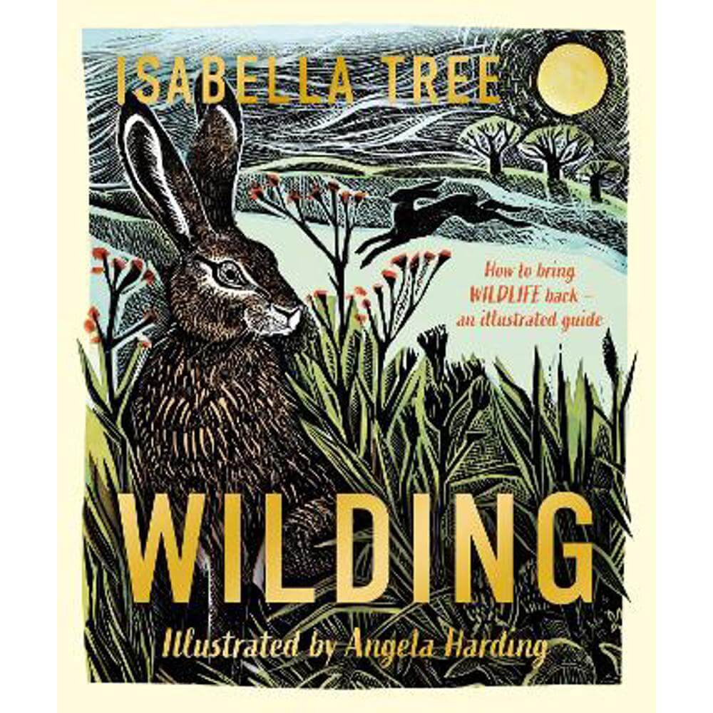 Wilding: How to Bring Wildlife Back - The NEW Illustrated Guide (Hardback) - Isabella Tree